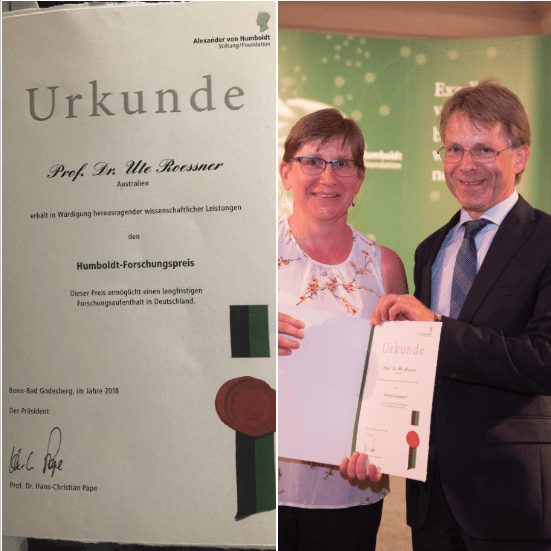 Ute Rossner receives Humboldt Award