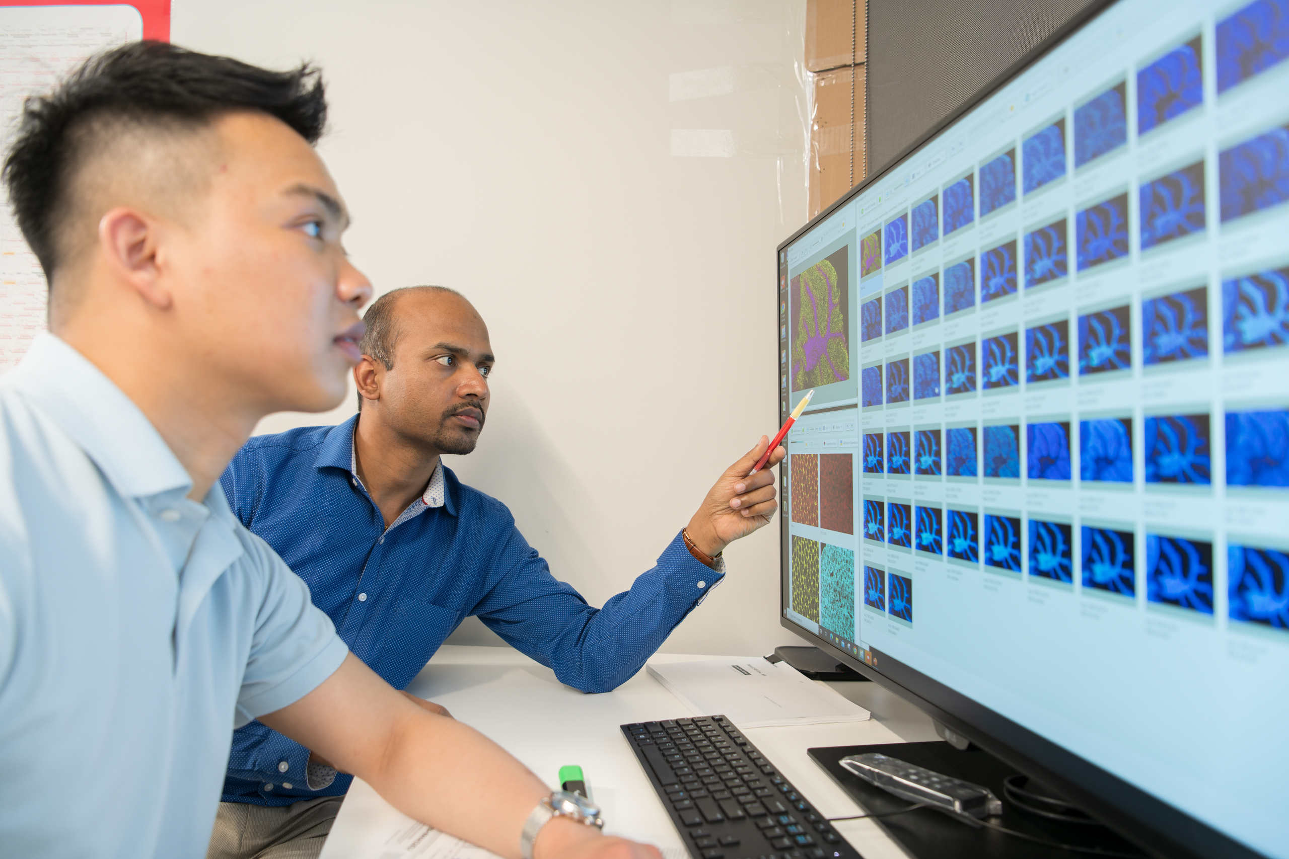 Two men in an office analyse scanned images on a large monitor.