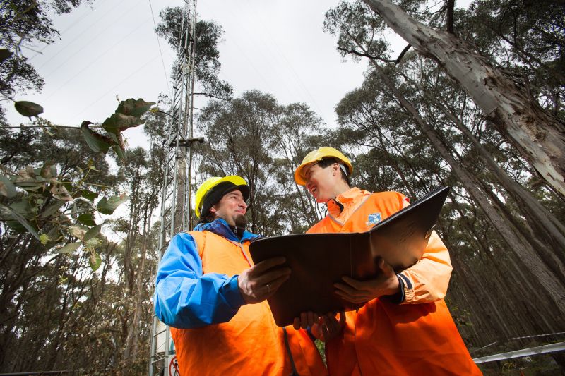 Researchers in Wombat State Forest 