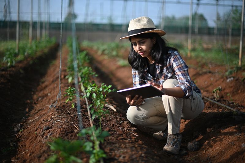 Young agricultural researcher in the field