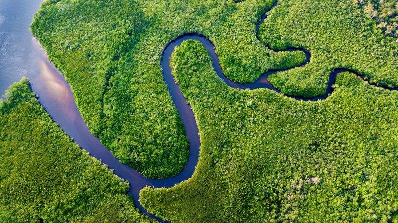 Aerial shot of Daintree river and forest systems