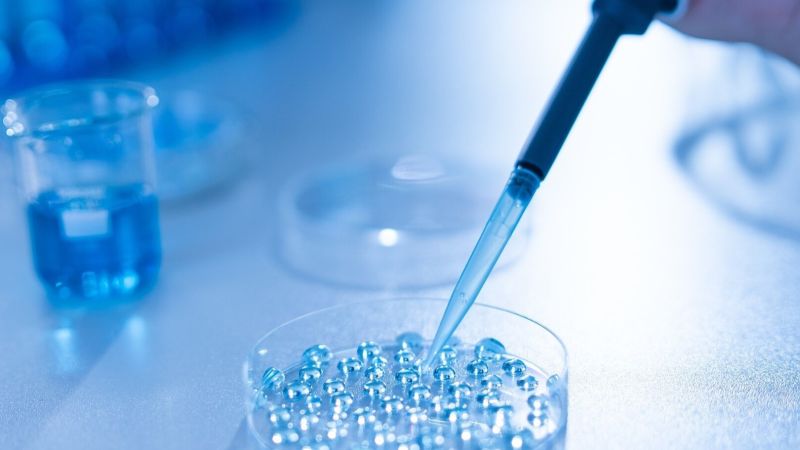 Pipetting into a dish of transparent beads