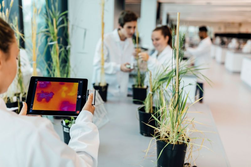 People study plants in a laboratory
