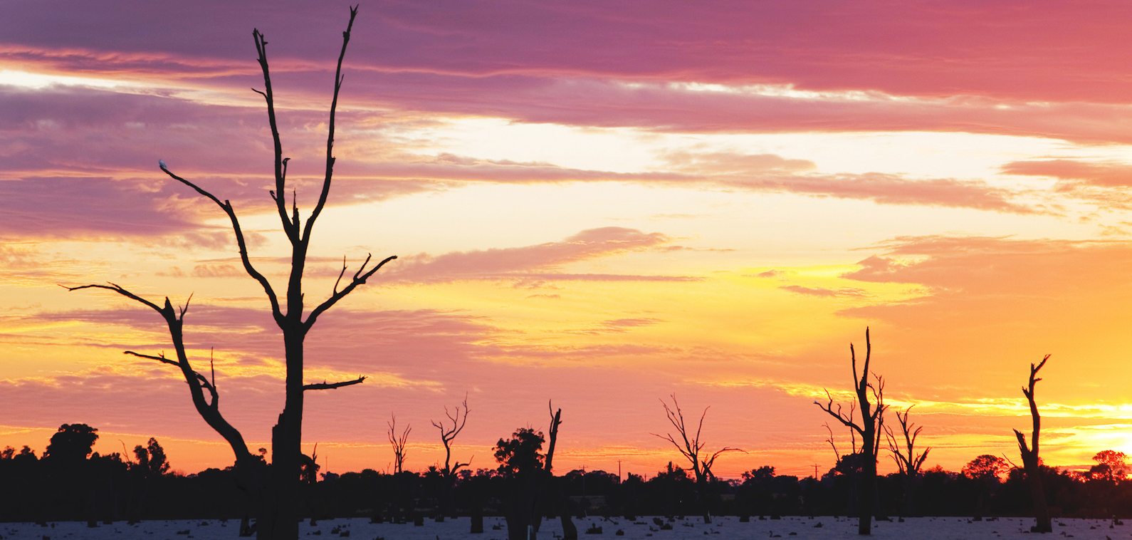 Australians more concerned about climate change than COVID-19