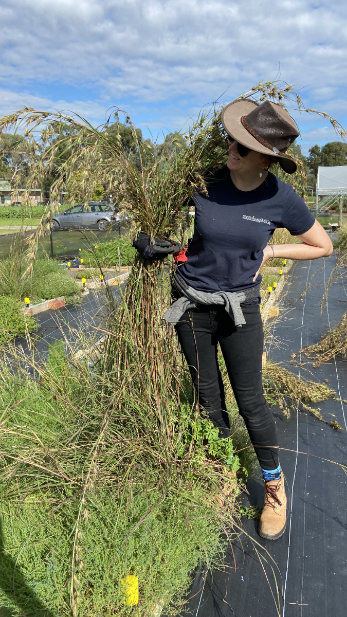 Katherine Horsfall, a white woman, hugs a small plot of tall grasses at the University of Melbourne Burnley campus
