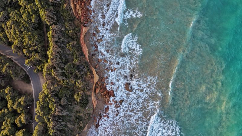 This aerial photograph looks straight down at the Anglesea coastline, Victoria, on the Traditional Lands of the Wadawurrung People. It highlights the sharp meeting point of three areas: coastal forest, a human-made road, and the rough ocean. The red cliffs and the swirling sand in the water show how the waves are constantly eroding and changing the shape of the coast.
