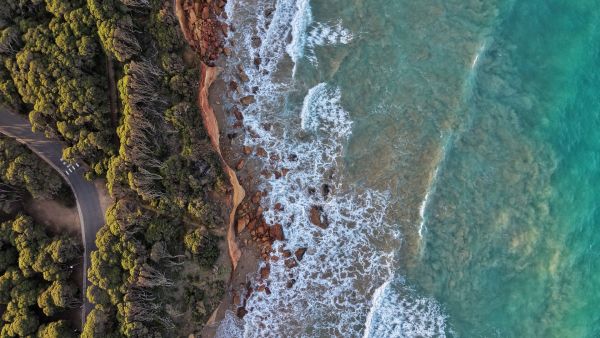 This aerial photograph looks straight down at the Anglesea coastline, Victoria, on the Traditional Lands of the Wadawurrung People. It highlights the sharp meeting point of three areas: coastal forest, a human-made road, and the rough ocean. The red cliffs and the swirling sand in the water show how the waves are constantly eroding and changing the shape of the coast.