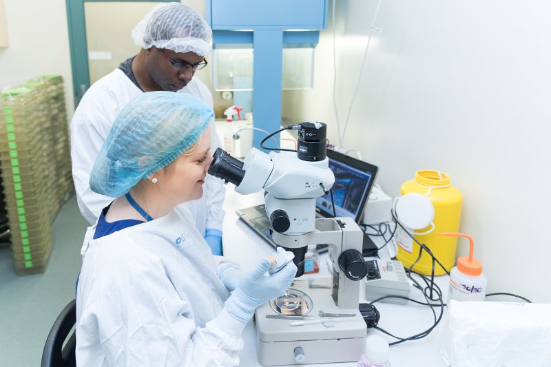 Researchers in lab analysing tissue in a microscope