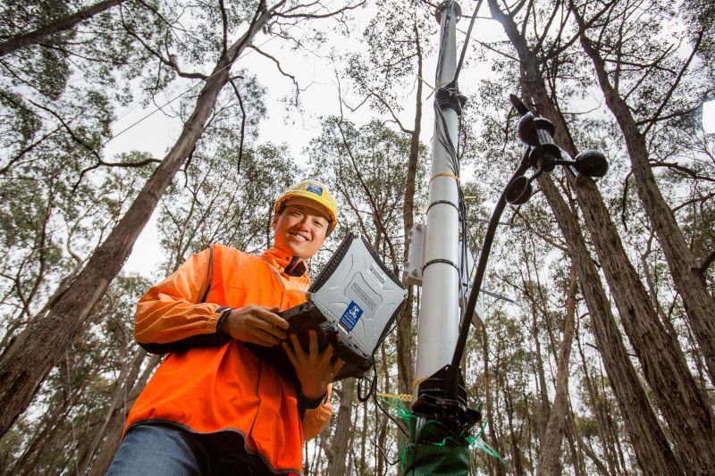 Researcher in wombat state forest 